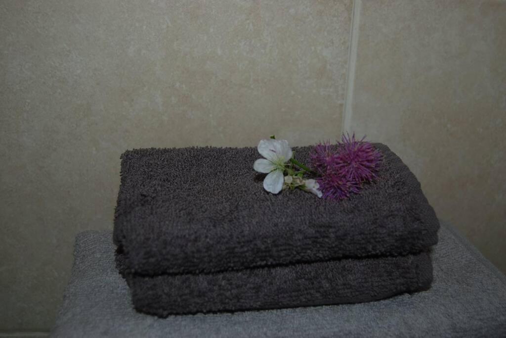 Creag Mhor Self Catering Holiday Apartment アバーフォイル エクステリア 写真