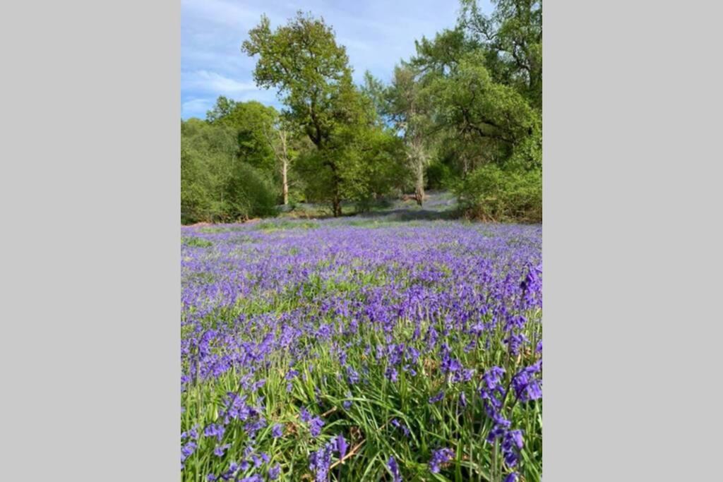 Creag Mhor Self Catering Holiday Apartment アバーフォイル エクステリア 写真